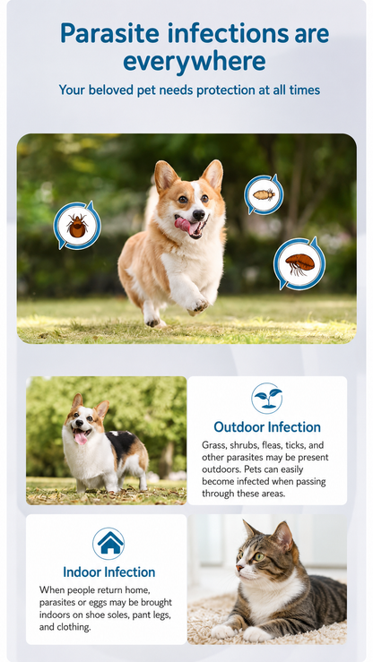 🐕30Days Flea and Tick Free