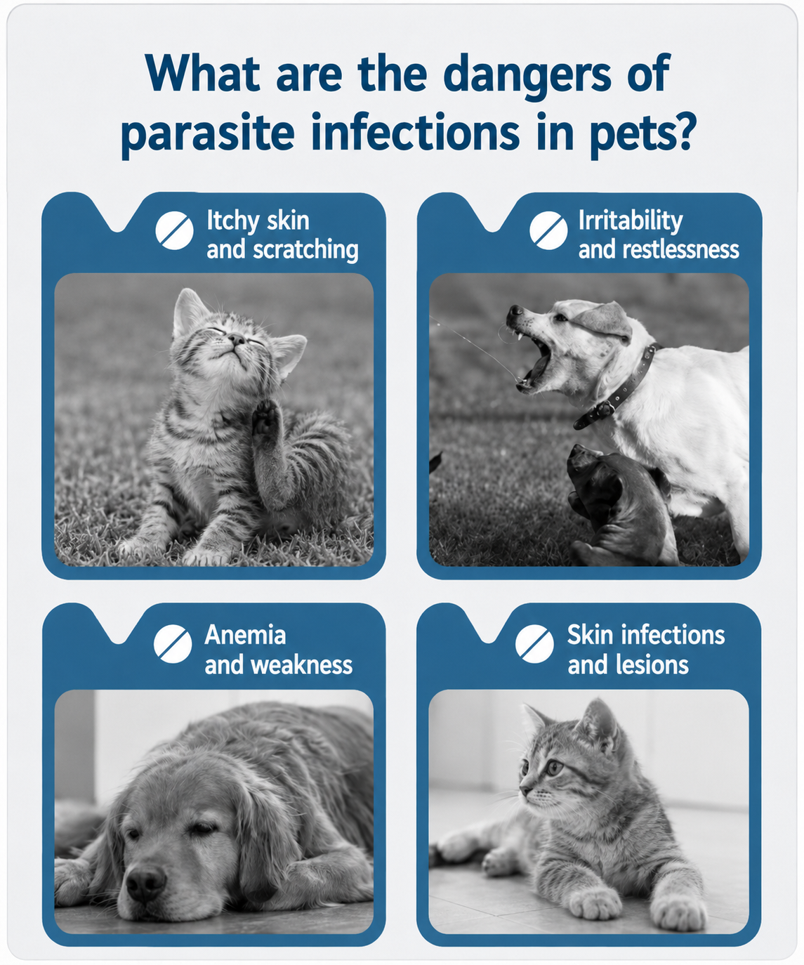 🐕30Days Flea and Tick Free