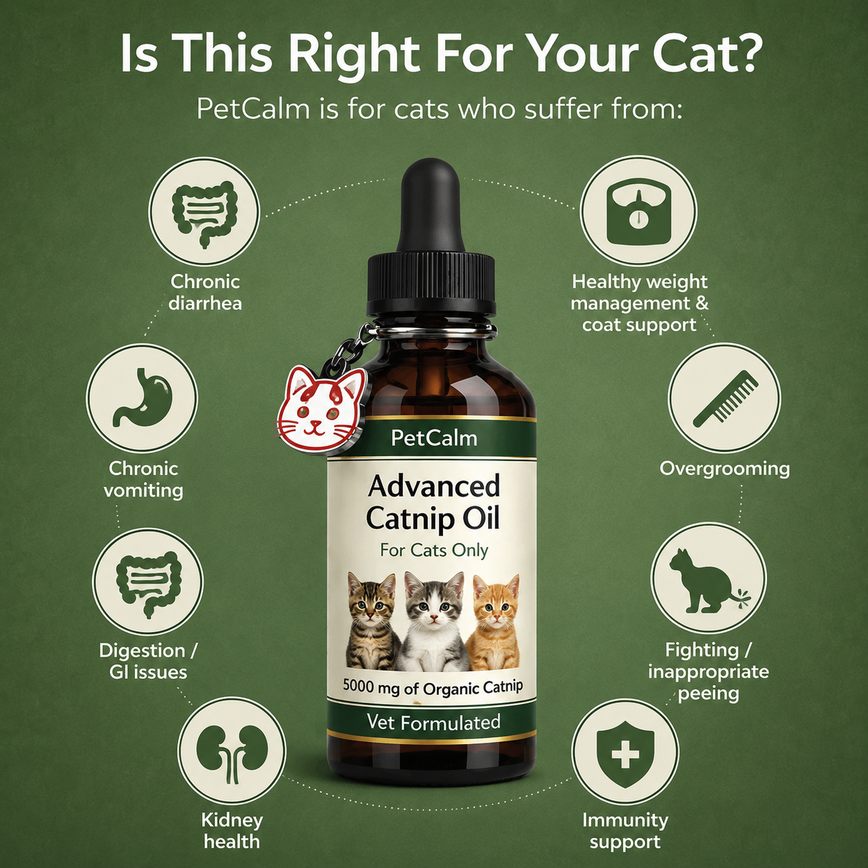 🐱PetCalm Advanced Catnip Oil
