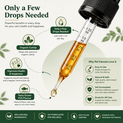 🐱PetCalm Advanced Catnip Oil